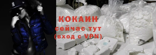 твердый Балахна